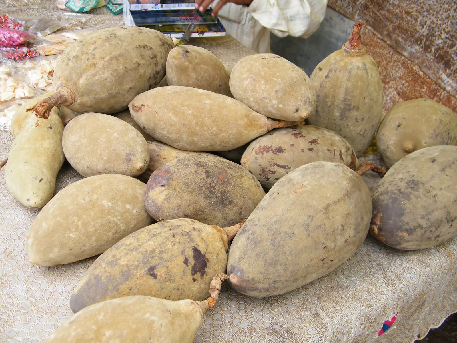 A pile of velvety, pale green Khurasani imli (baobab) pods laid out for sale in Mandu